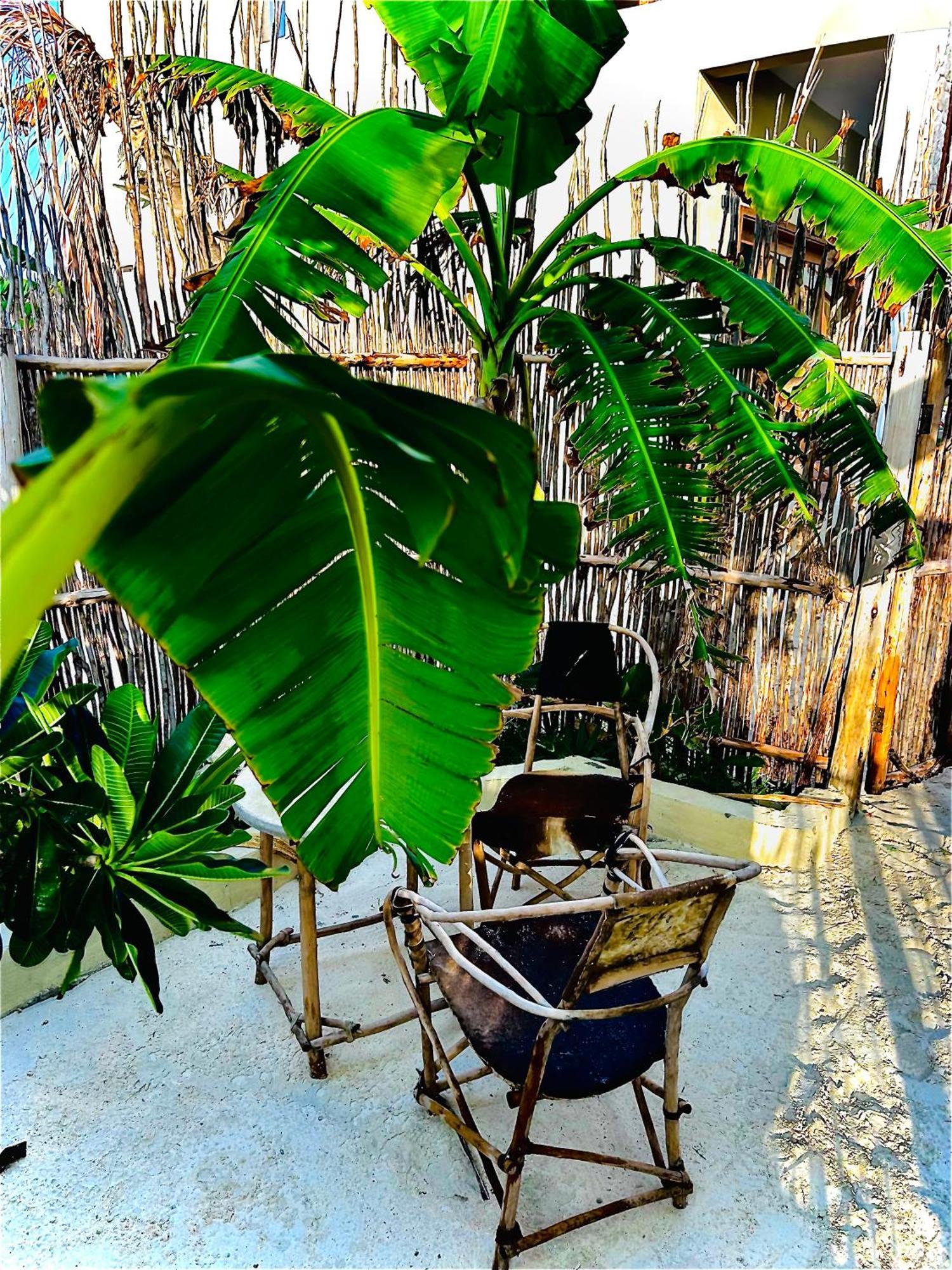 Zanzi Soul Luxury Boutique Hotel Jambiani  Buitenkant foto
